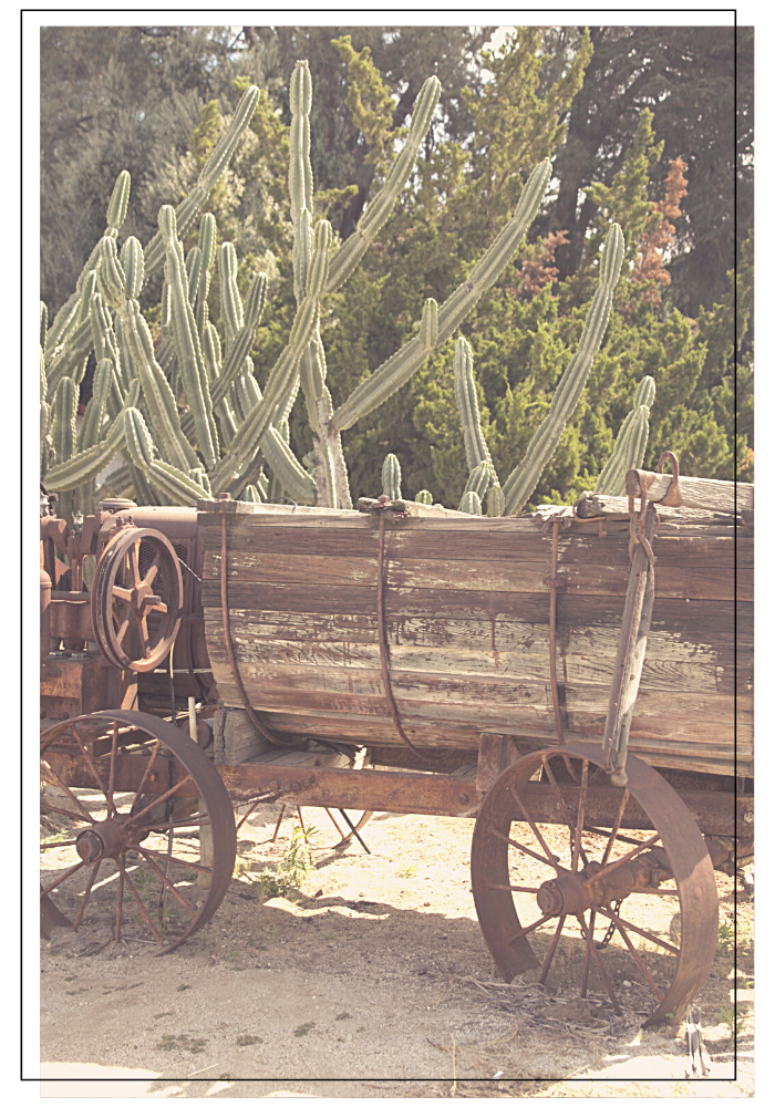 Explore America This Family Blog travel the US